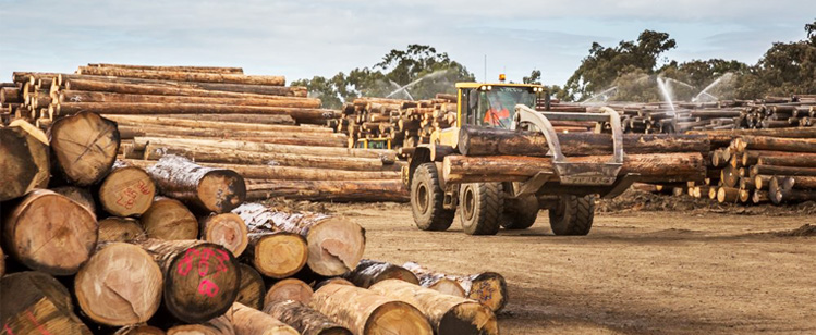 Geniş sevkiyat alanı